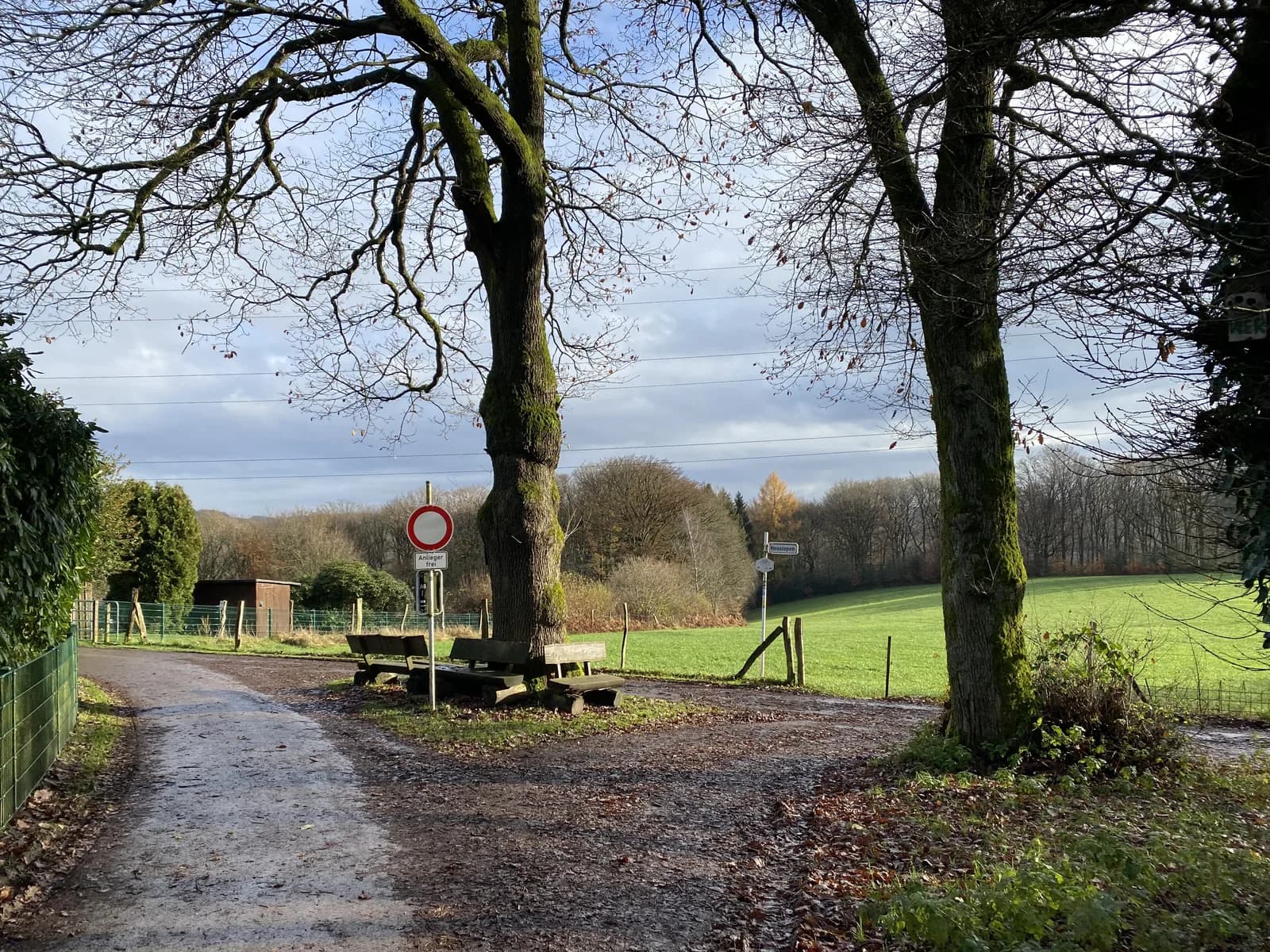 Feldweg mit alten Bäumen bei Heusiepen in Schwelm
